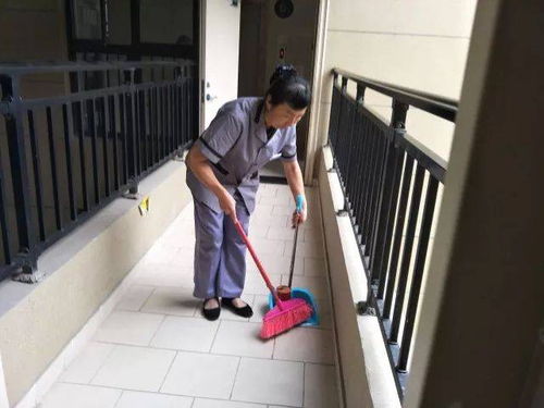 蘭州城關(guān)區(qū)專業(yè)家政保潔服務(wù) 地毯清洗與家庭保潔質(zhì)量保證